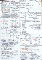 Biomolecules Biology Short notes.pdf